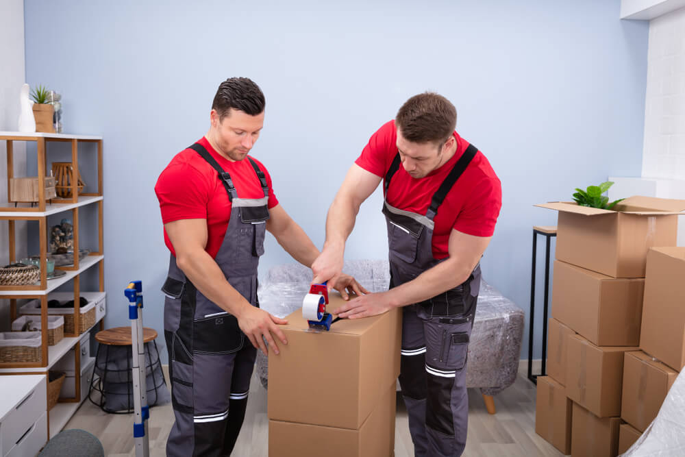 Expert Movers in New York City